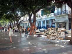 Paseo Del Parado